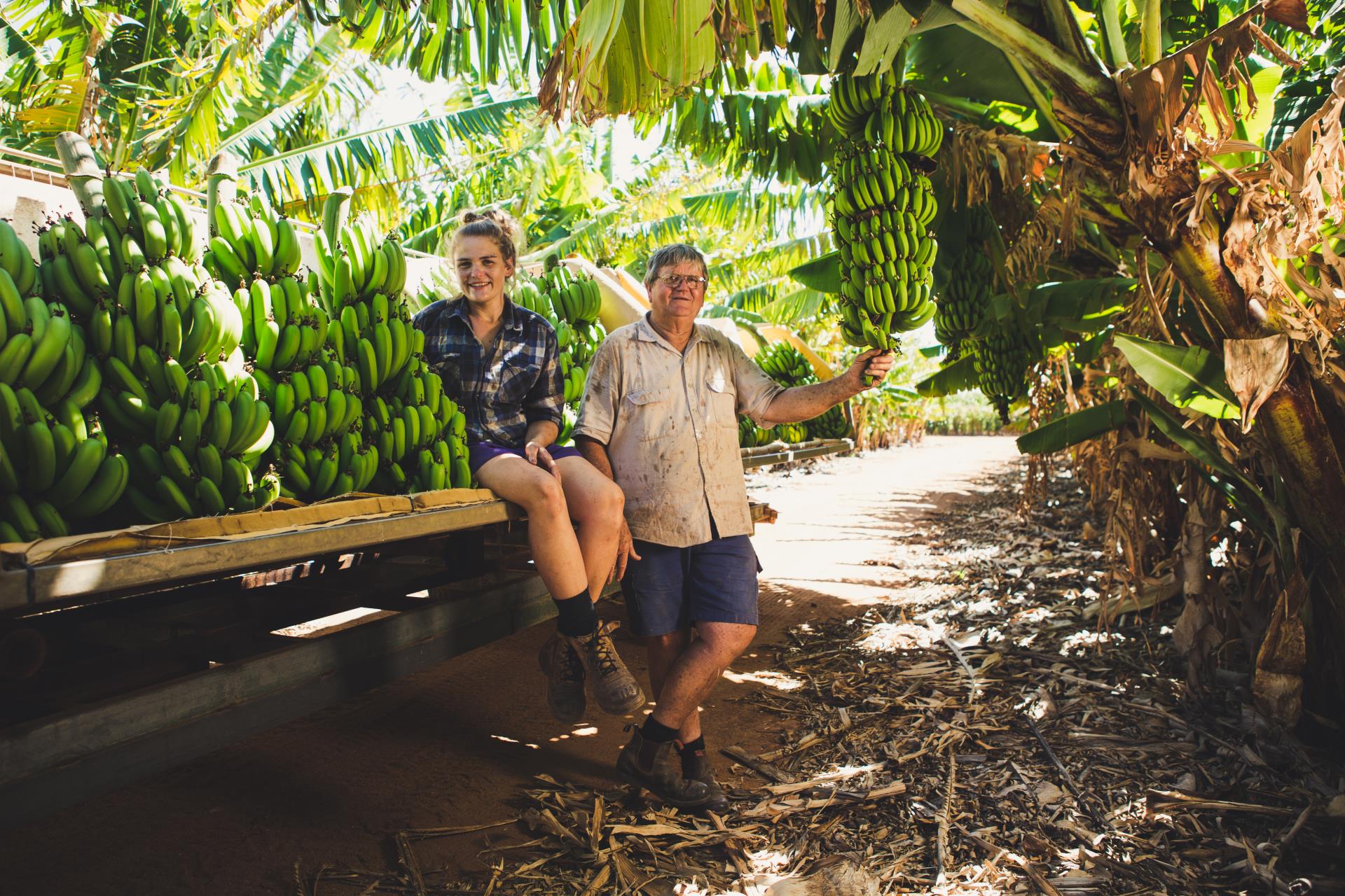 Sweeter Banana Plantation